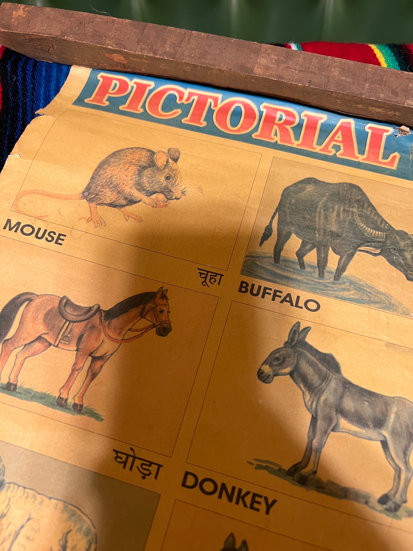 Vintage Pictorial Animal Chart