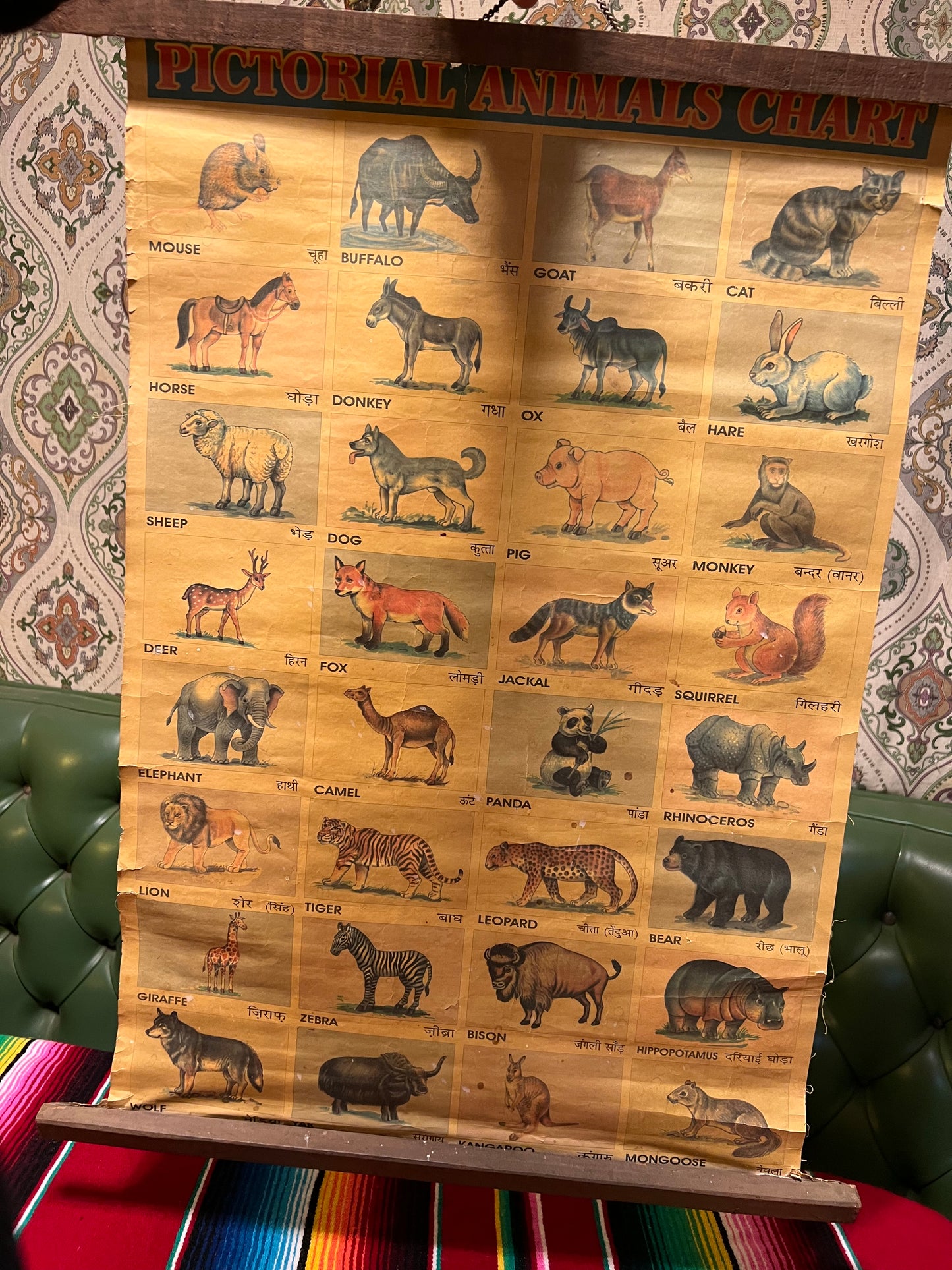 Vintage Pictorial Animal Chart