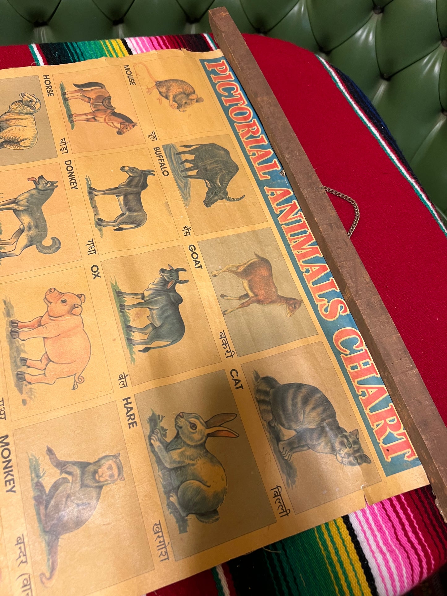 Vintage Pictorial Animal Chart