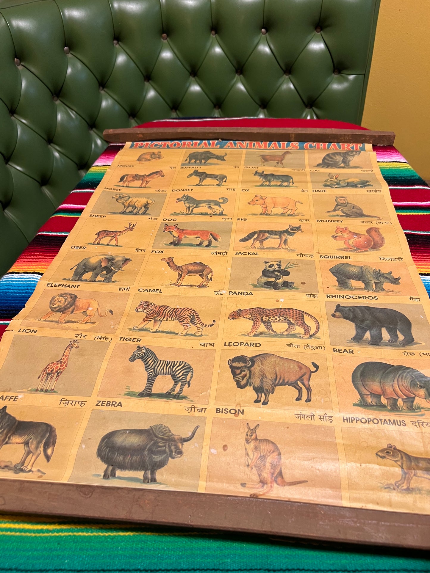 Vintage Pictorial Animal Chart