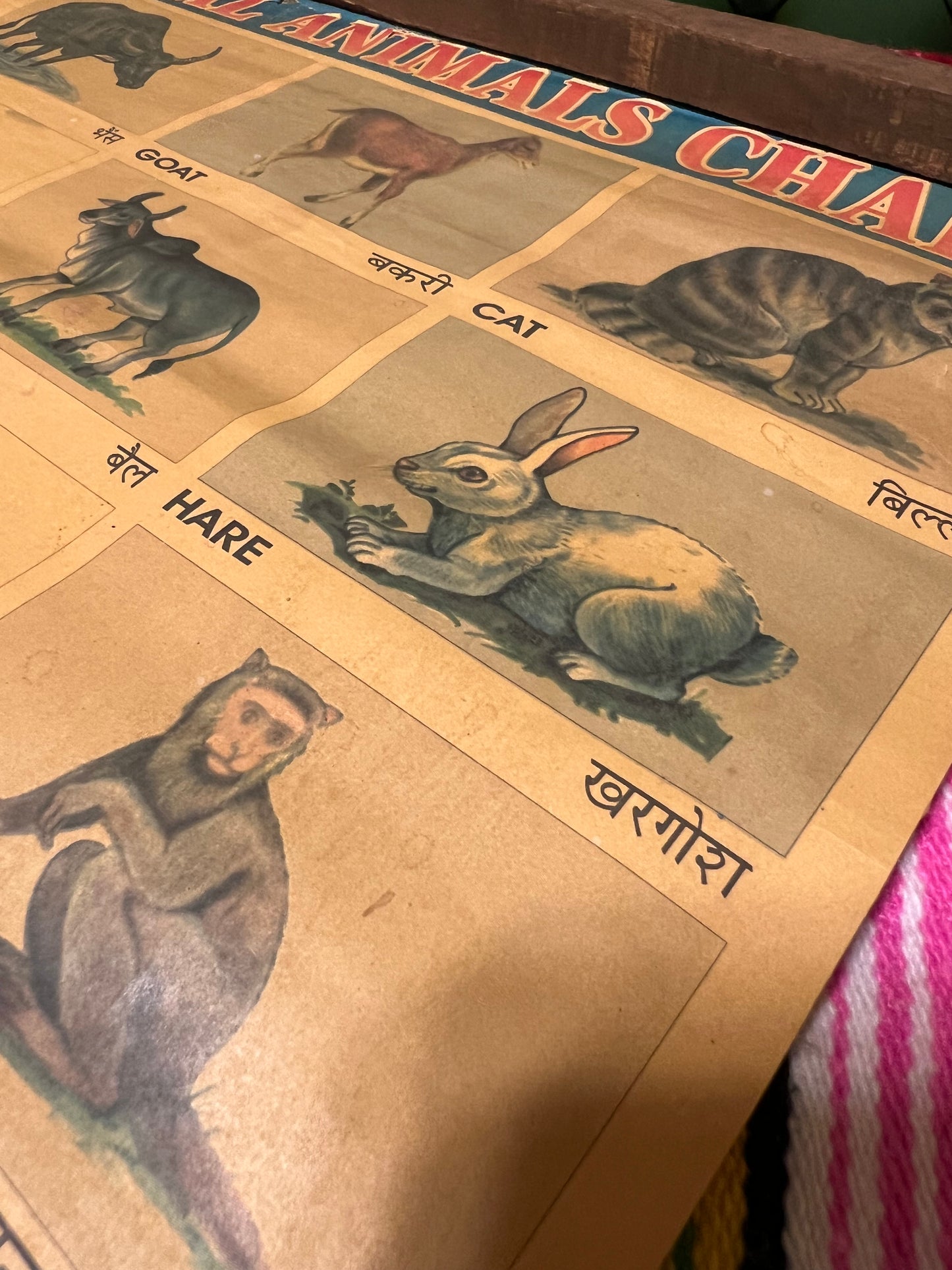 Vintage Pictorial Animal Chart