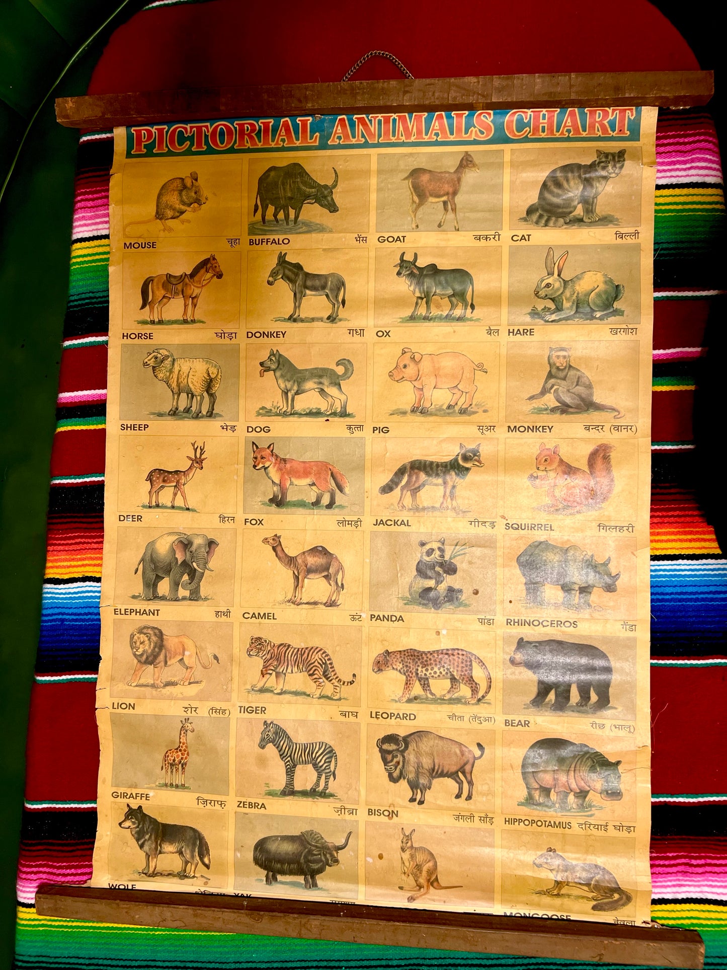 Vintage Pictorial Animal Chart