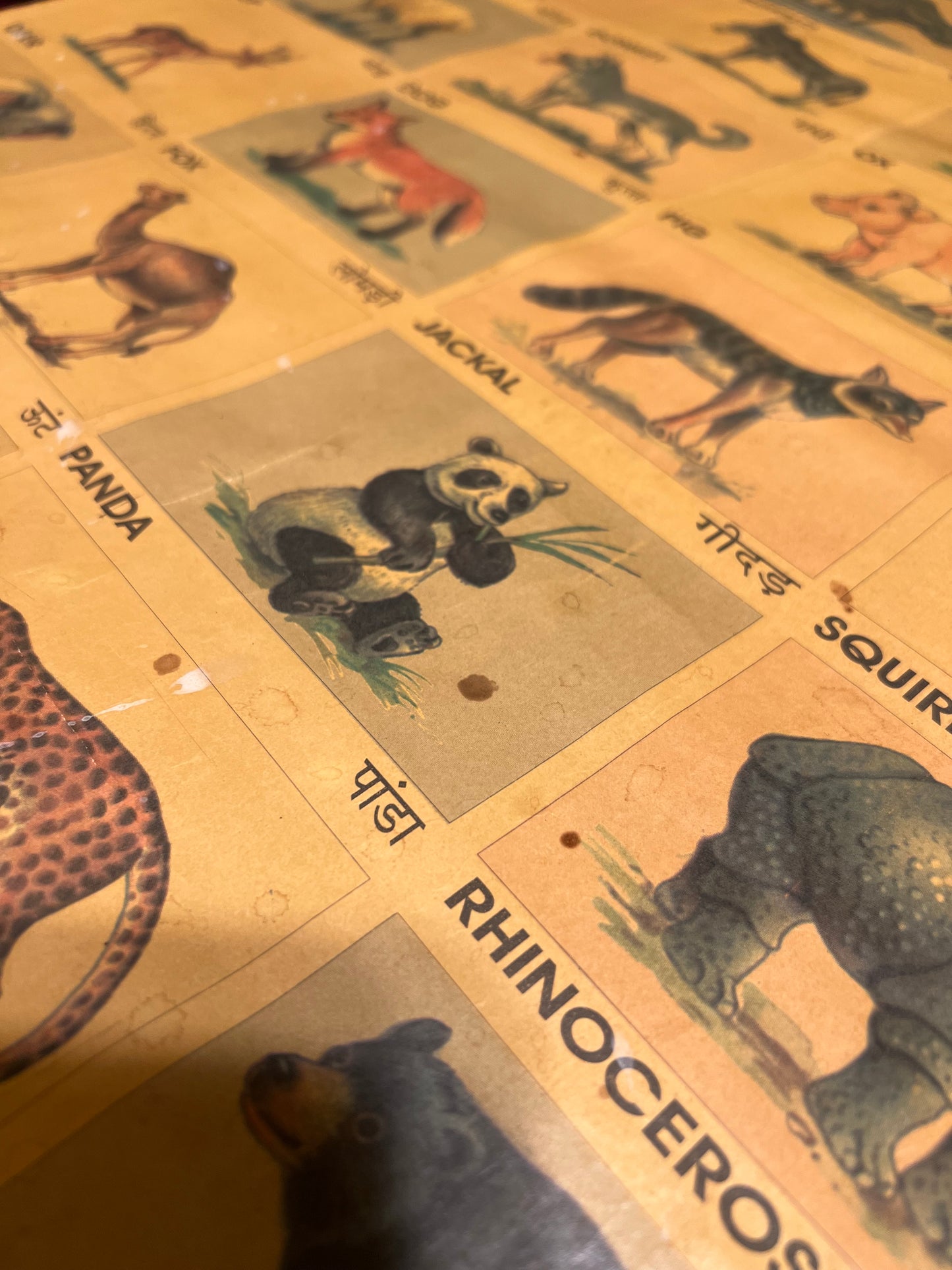 Vintage Pictorial Animal Chart