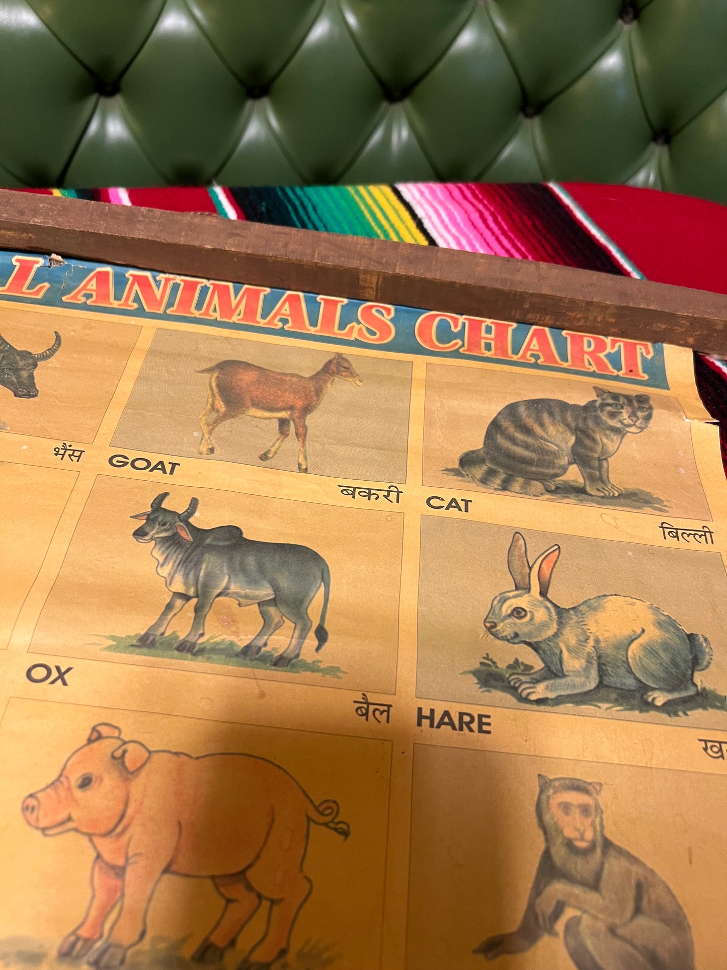 Vintage Pictorial Animal Chart
